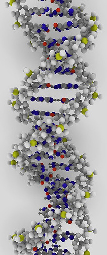 DNA image licensed under Creative Commons from Flickr